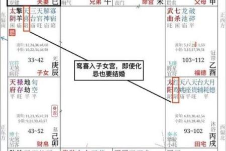 紫微斗数之夫妻宫与诸星，天梁星在夫妻宫是什么意思？