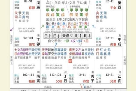 紫薇斗数分析推演的主要内容