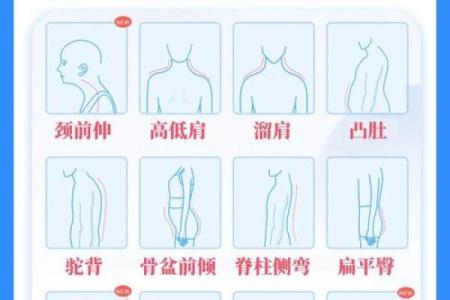 内八字和外八字