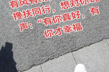 友谊八字