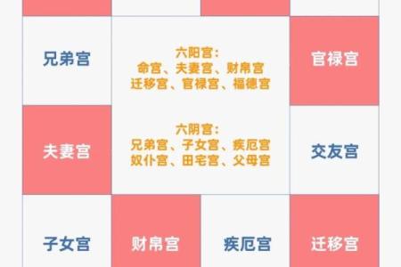 紫微斗数术语解释之：体和用