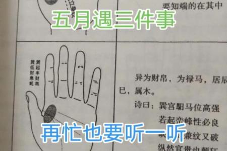 属猴子时出生的男孩要怎样取名字，宜用哪些字姓名