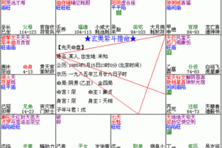紫薇斗数领袖格局
