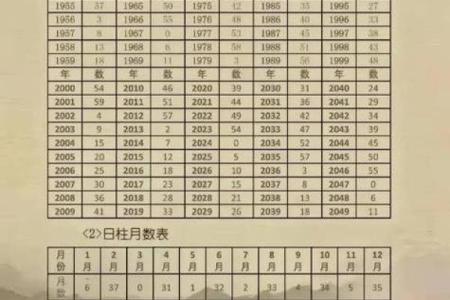 八字命理-2024年农历七月二十七的孩子命运详解