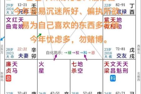 紫薇斗数看运势