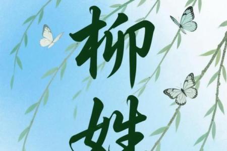 柳姓男孩名字大全-柳姓男孩起名字大全-柳姓名字大全姓名