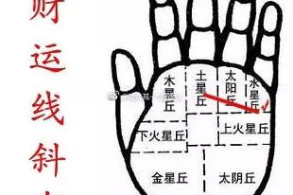 财运线算命