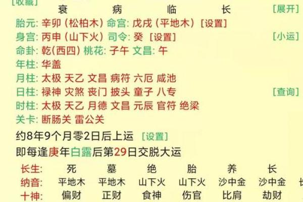 怎么看八字命盘,如何解读八字排盘