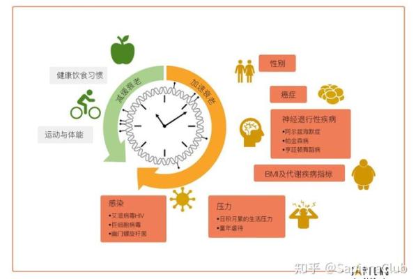 生理年龄测试仪器 检测生理年龄跟实际年龄差别大