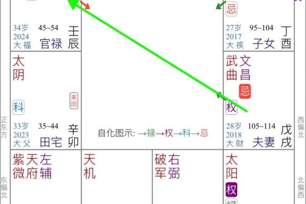 免费紫微斗数看感情 紫微斗数看感情运？