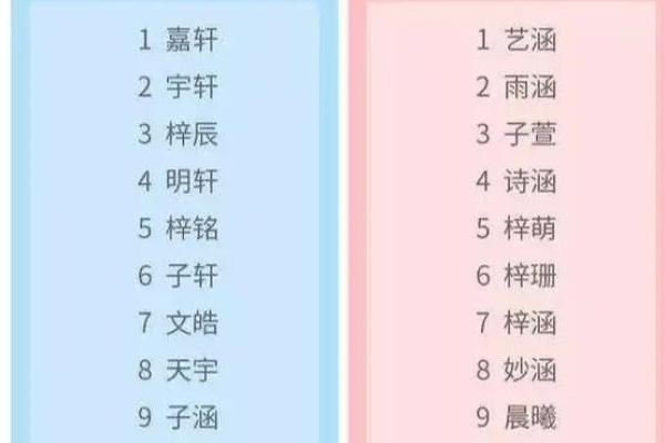 一月份出生的属狗男孩如何取名字姓名