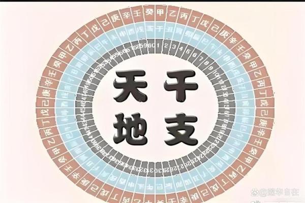 算命中天机什么意思