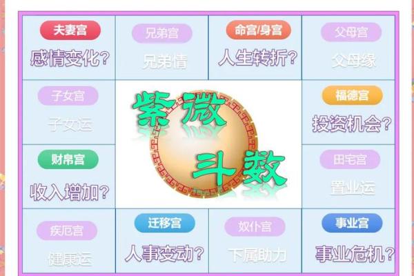 紫薇斗数 天同在官禄宫怎么解读
