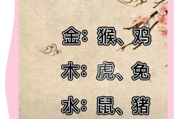 根据宝宝生辰八字起名，起名步骤，适合猪年男孩女孩的名字推荐