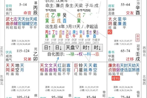 紫薇斗数高人