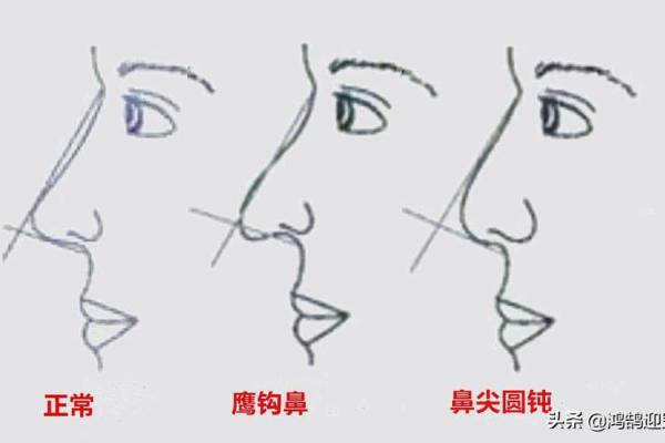 面相风水鹰钩鼻子的女人有福气吗