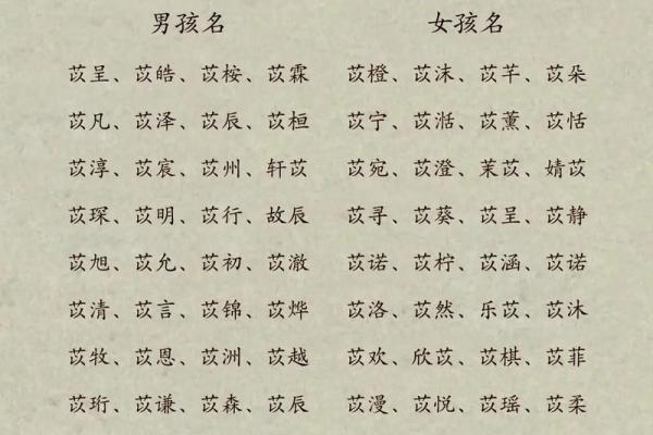权威可信的国学宝宝起名网站,国学姓名测试打分