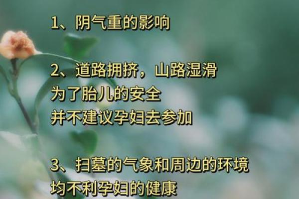 扫墓清明节不宜做什么事风水禁忌