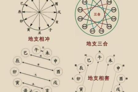 三会的八字