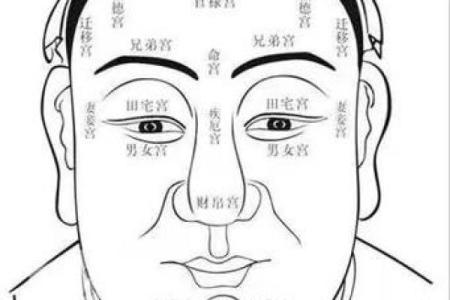 眉间八字纹面相男人