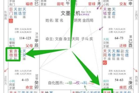 紫薇斗数步骤