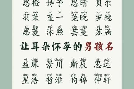 2019年5月12号寅时出生的男孩起名方法姓名