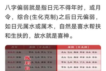 八字极弱从弱什么意思