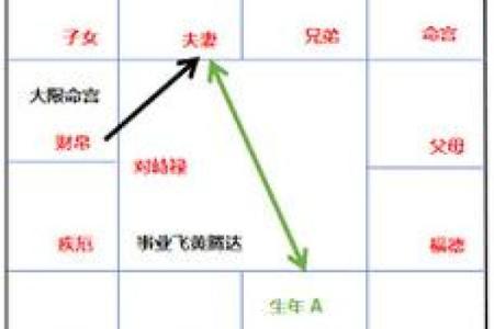 紫薇斗数化禄在夫妻宫