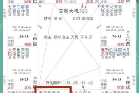 紫微斗数之诸星值限年运气推断：天相星之年