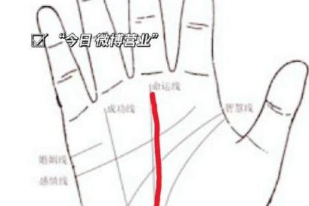 风水川字掌手相男人的命运解析