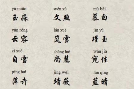 2019年3月22号巳时出生的男孩应该起什么样的名字姓名