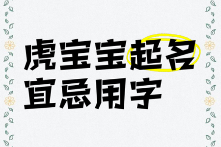 晚上8点出生的属虎男孩如何起名，宜用什么字姓名