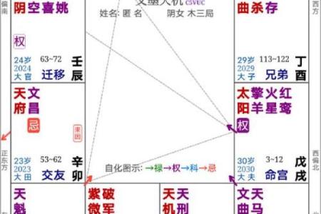 紫薇斗数能断事吗