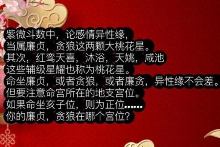 紫微斗数戊子桃花位 戊子日柱女命桃花？