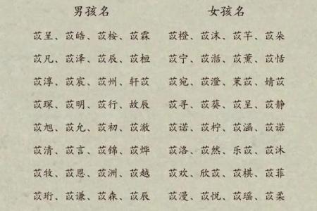 权威可信的国学宝宝起名网站,国学姓名测试打分