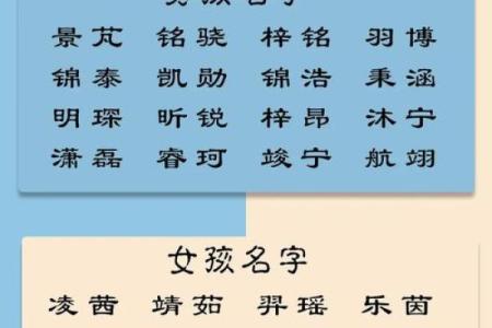 2019年5月27号卯时出生的男孩应该起什么样的名字姓名