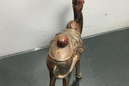 在风水上看沙漠骆驼是否具有良好的作用