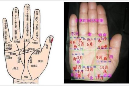 在线扫一扫测手相算命,扫一扫测手相算命免费