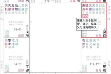 名人紫薇斗数格局