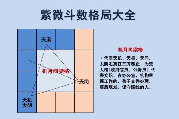 你相信紫薇斗数吗