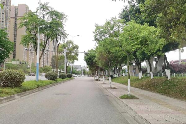 算命享老公福是啥意思