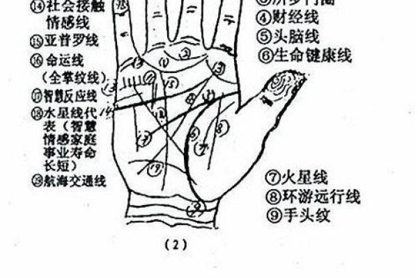 手相“影响线”算命图解