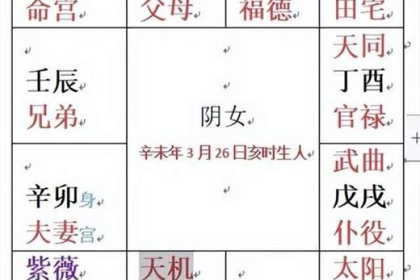 紫薇斗数手工排盘视频
