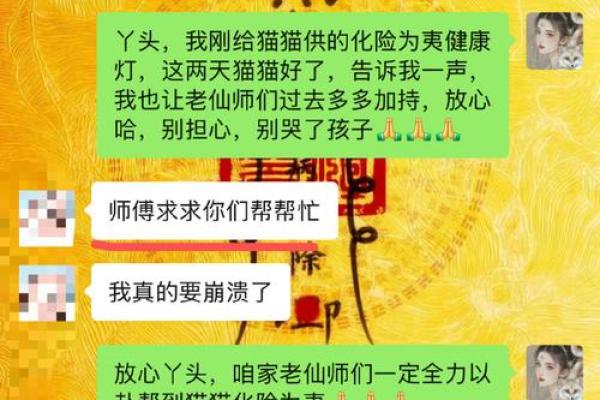 出马仙算命准吗