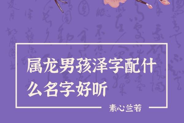 2019年3月30号酉时出生的男孩起名方法姓名