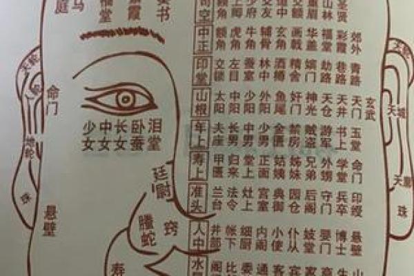 如何从嘴巴看相算命