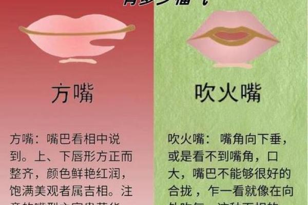 如何从嘴巴看相算命