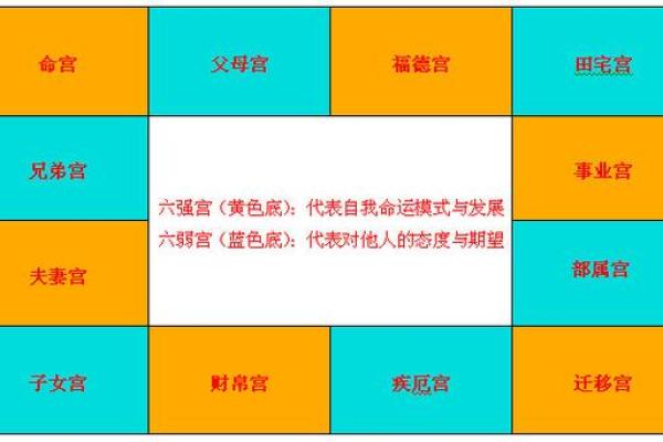 紫薇星化忌怎么看