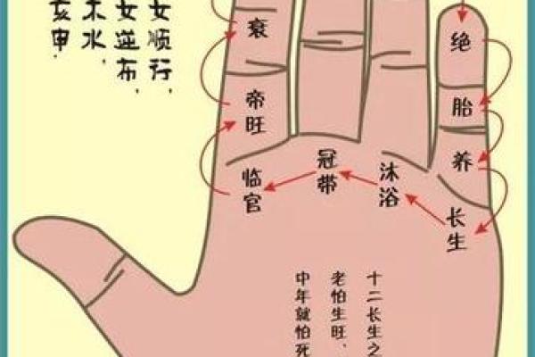 算命的说手相句子