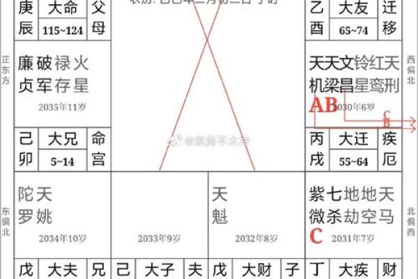 紫薇斗数测国运